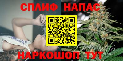 a pvp Можга