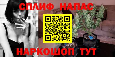 ешки Моздок