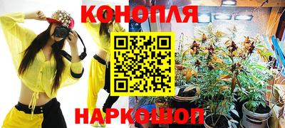 a pvp Можга