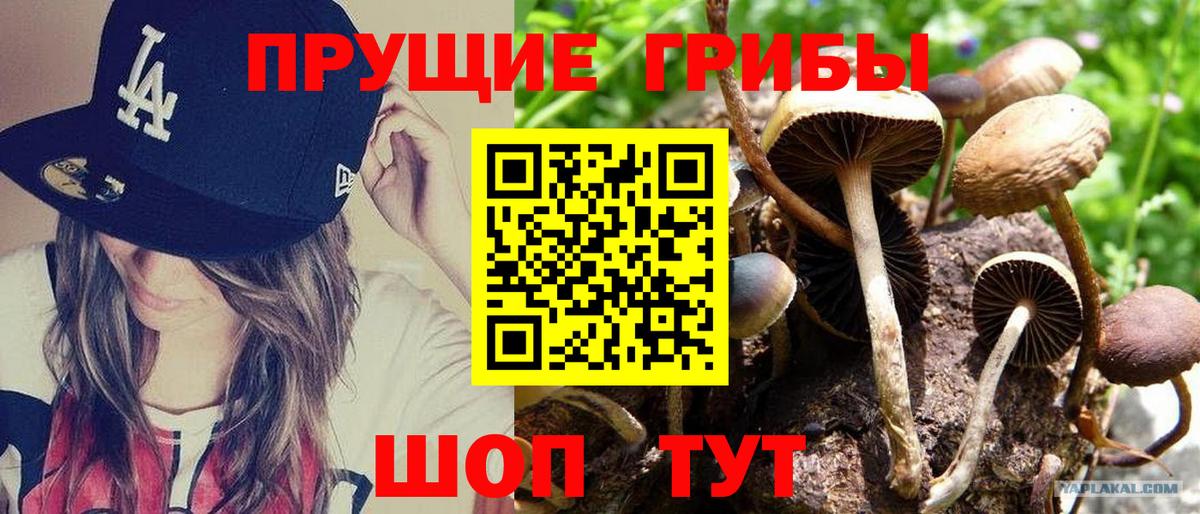 Галлюциногенные грибы Magic Shrooms Сызрань
