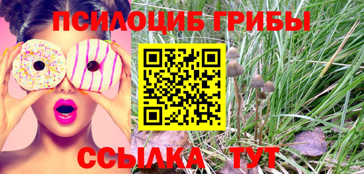 Псилоцибиновые грибы прущие грибы  Вход с VPN  Сызрань 
